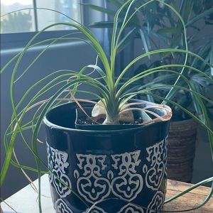 Meet your Posher, Erick